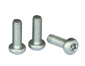 大连特殊梅花防盗螺丝厂家