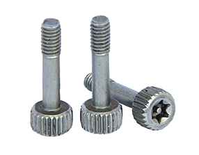 道滘特殊螺丝厂家