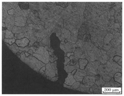 99久久久无码国产精品性