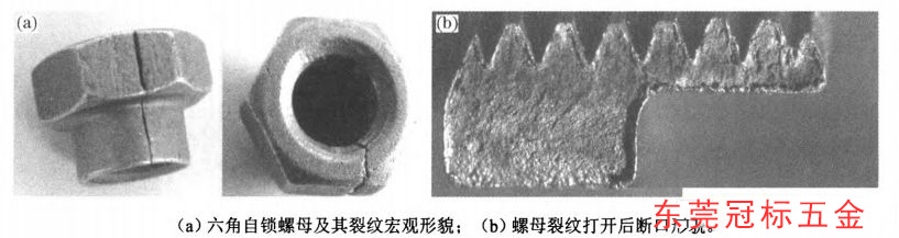 1635924536545223.jpg 21.jpg