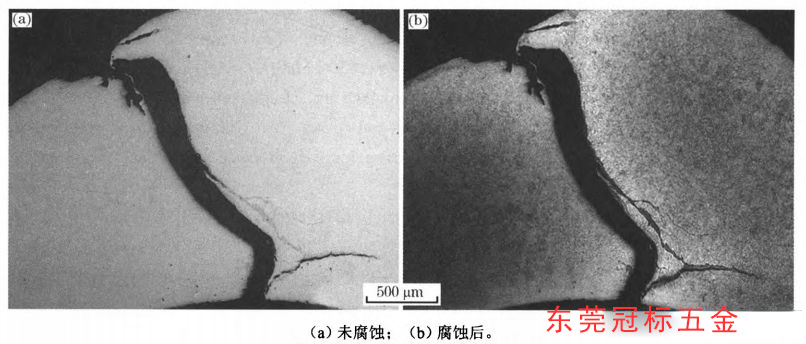 1635924593110245.jpg 22.jpg