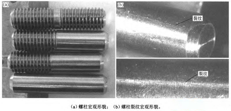 1635924667563256.jpg 25.jpg