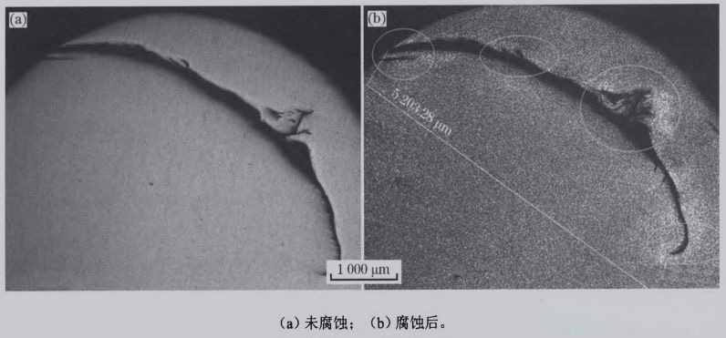 1635924682118337.jpg 26.jpg