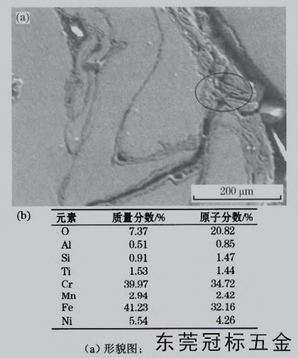 1635924716345695.jpg 27.jpg